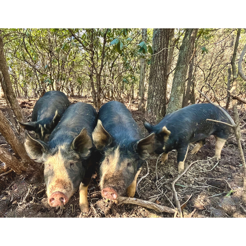 Pork Box