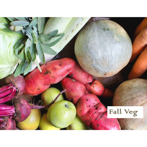 CSA Vegetables