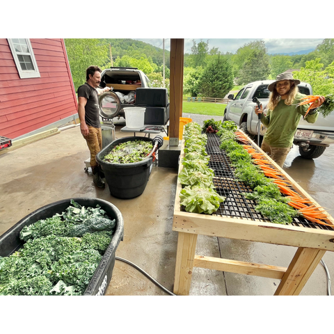 CSA Vegetables