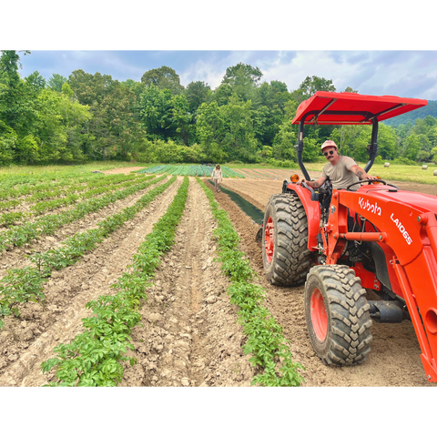 CSA Vegetables